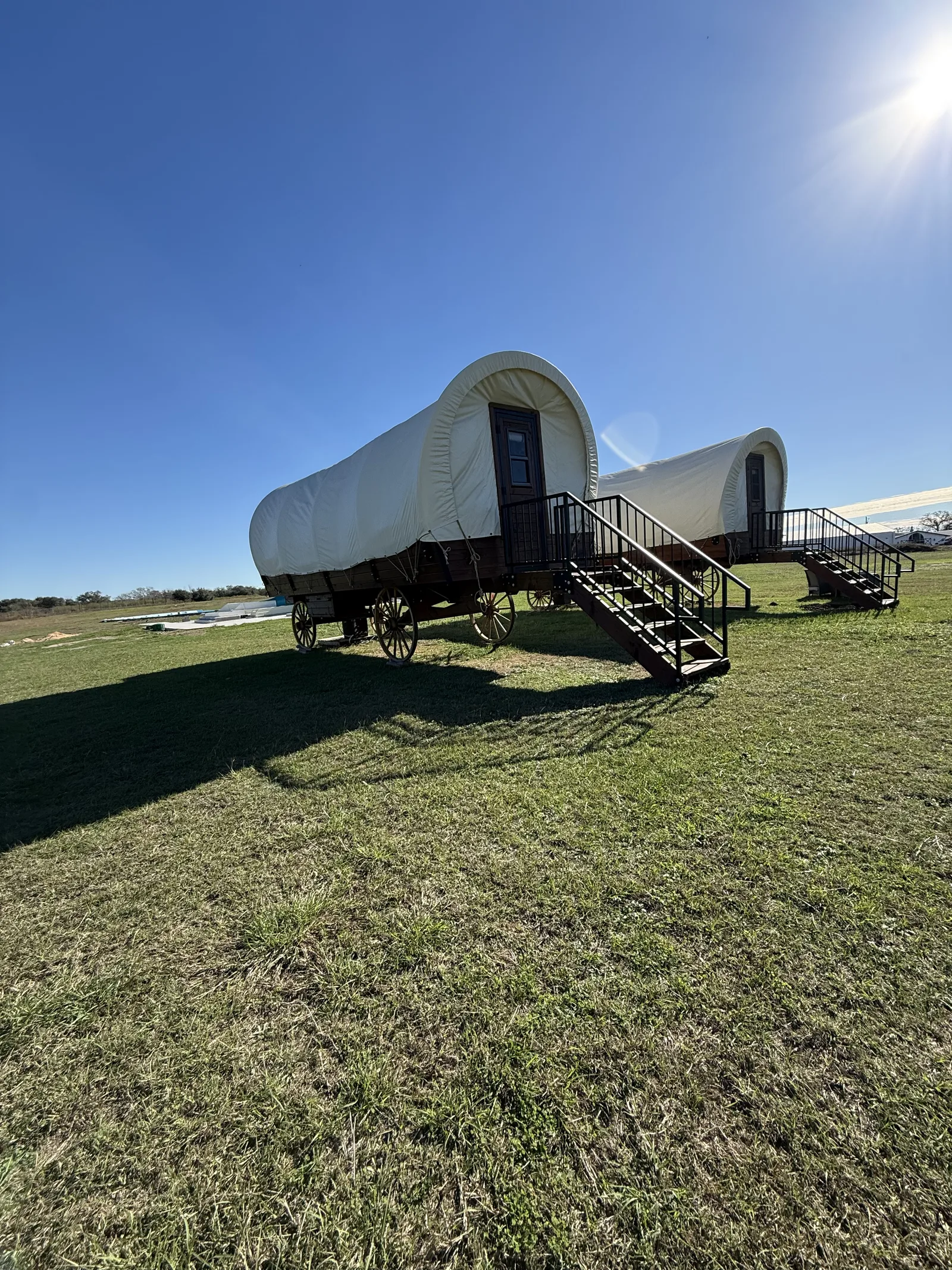 Conestoga covered wagons parked in the meadow