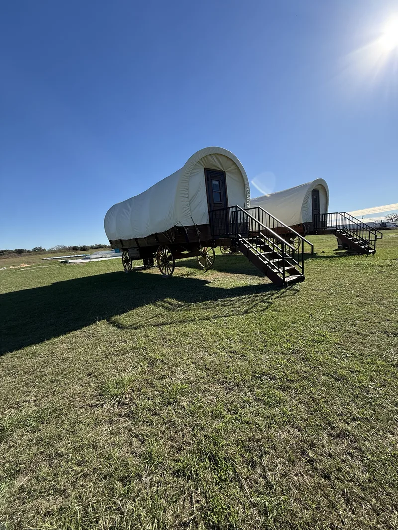 Conestoga covered wagons in the meadow